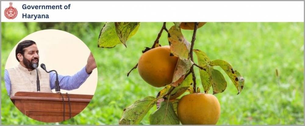 Haryana CM Saini launches ‘Har Ghar Chhaon - Har Ghar Phal’ scheme