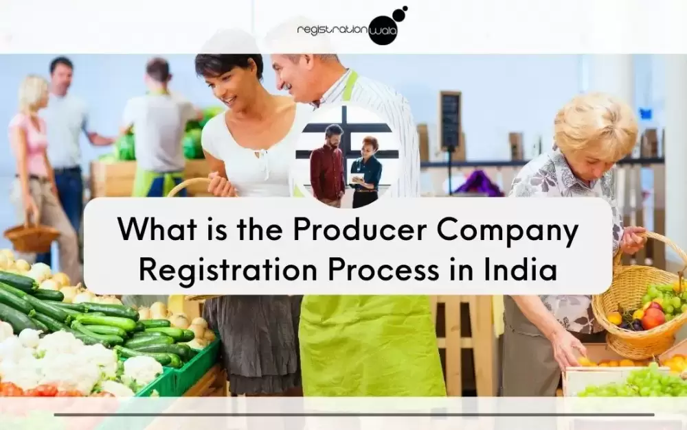 Producer Company Registration Process in India