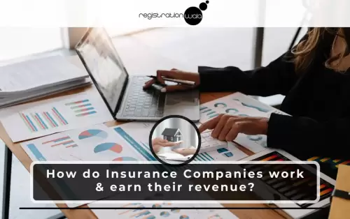 How do Insurance Companies work & earn their revenue?