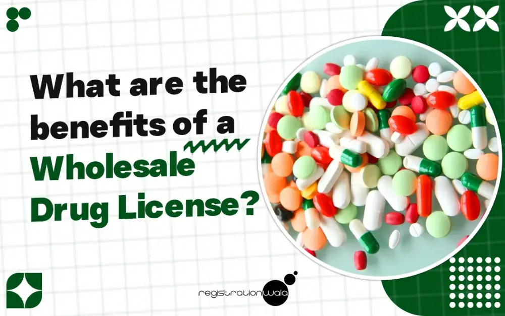 What are the benefits of a Wholesale Drug License?