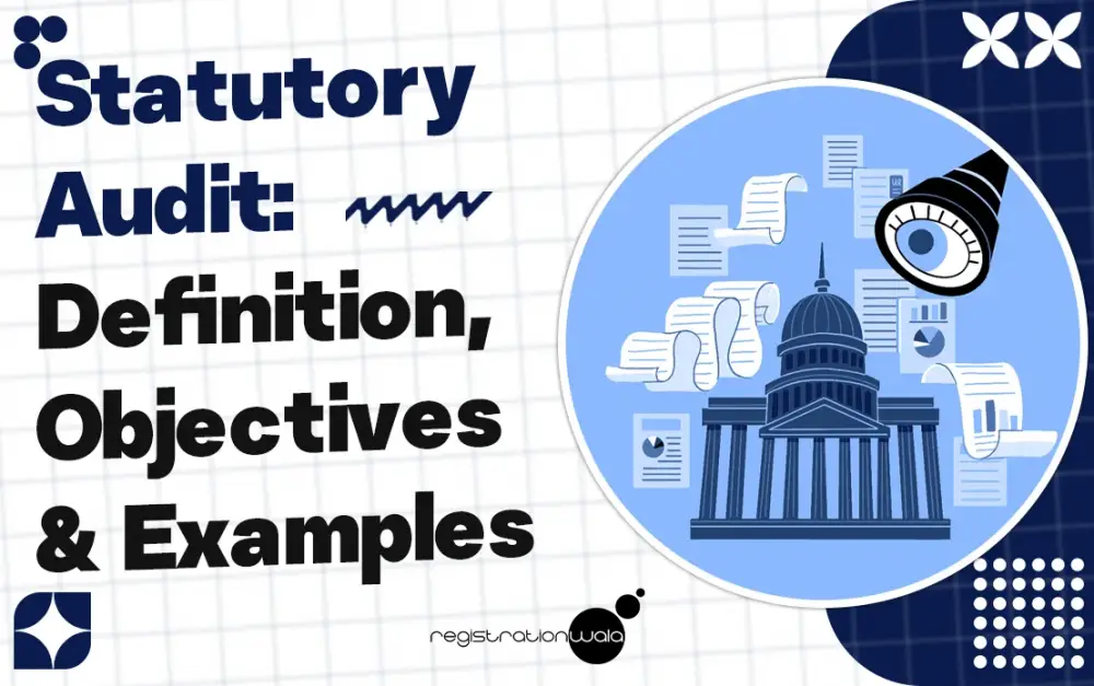Statutory Audit: Definition, Objectives & Examples