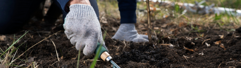 Mulching Business Mulching Business