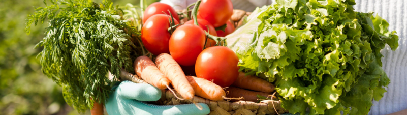 Organic Farming Business Organic Farming Business