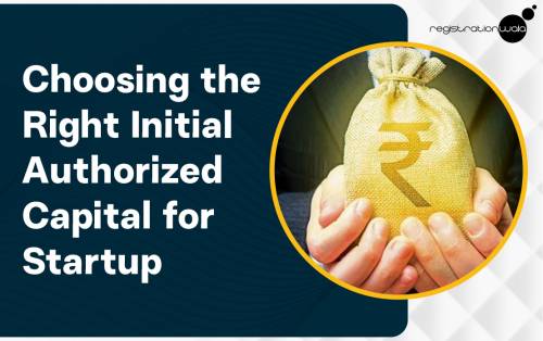 How to Choose the Right Initial Authorized Capital for Your Startup?