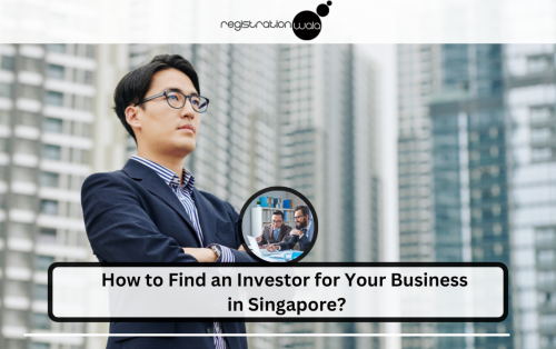 How to Find an Investor for Your Business in Singapore?