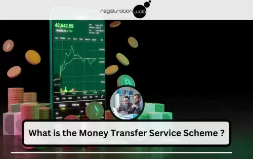 What is the Money Transfer Service Scheme (MTSS)?