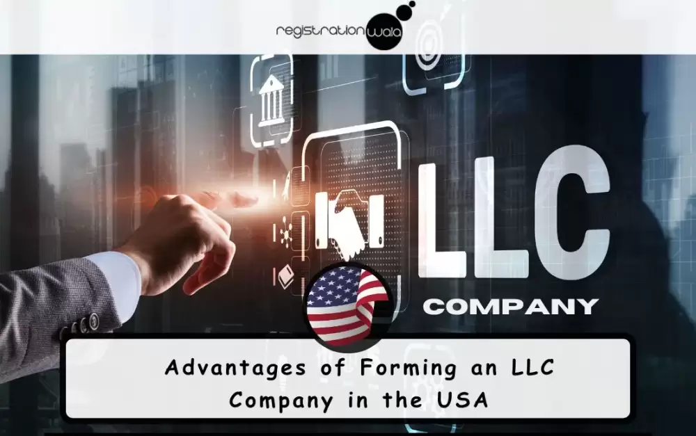 Advantages of Forming an LLC Company in the USA