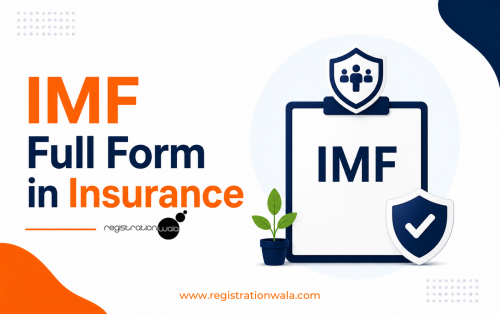 IMF Full Form in Insurance, Meaning & Authorised Activities