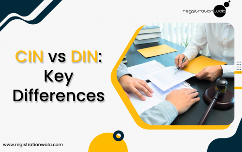 CIN vs DIN: Key Differences