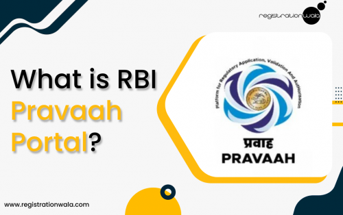 What is RBI Pravaah Portal?