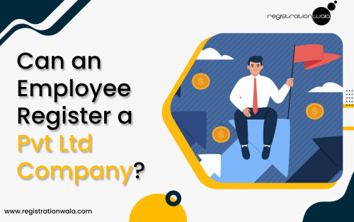 Can a Salaried Employee Register a Private Limited Company in India?