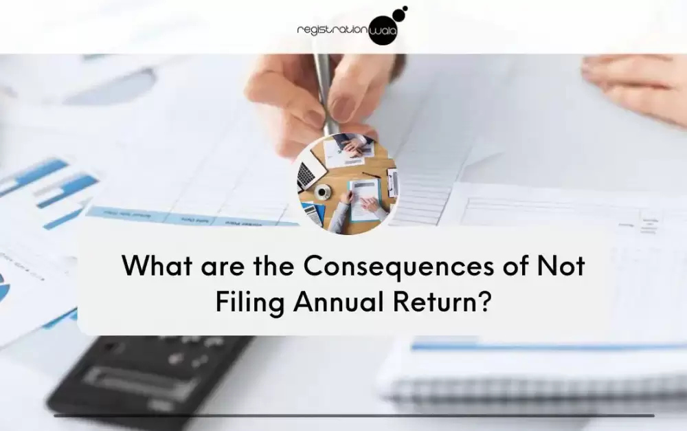 What are the Consequences of Not Filing Annual Return?
