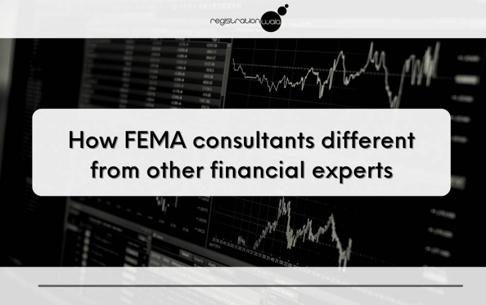 What make FEMA consultants different from other financial experts?