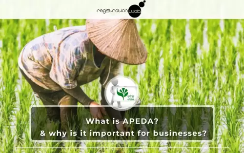 What is APEDA, and why is it important for businesses?