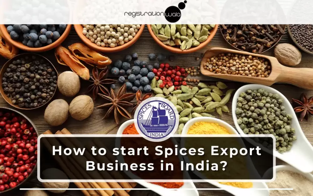 How to Start Spices Export Business in India?