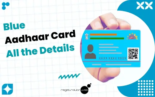 Blue Aadhaar Card: All the Details