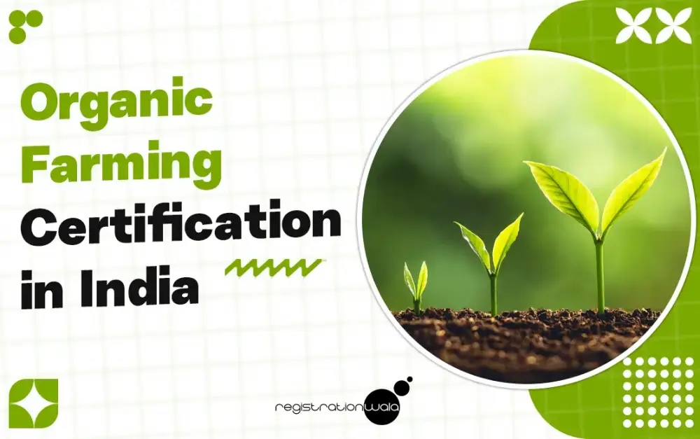 Organic Farming Certification in India