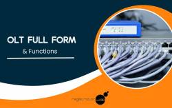 OLT Full Form & Functions