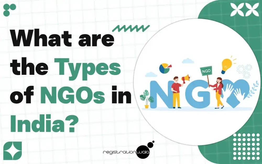 What are the Types of NGOs in India?