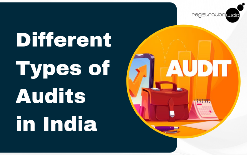 What are the Different Types of Audits In India