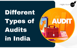 What are the Different Types of Audits In India