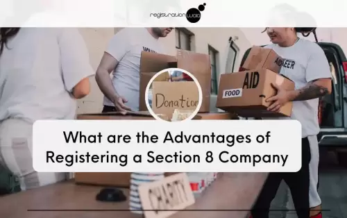 What are the Advantages of Registering a Section 8 Company