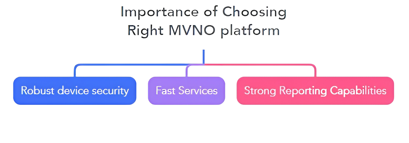 things to consider while chossing a rigt mvno platform