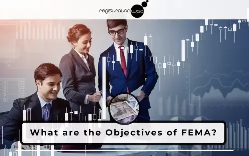 What are the Objectives of FEMA?