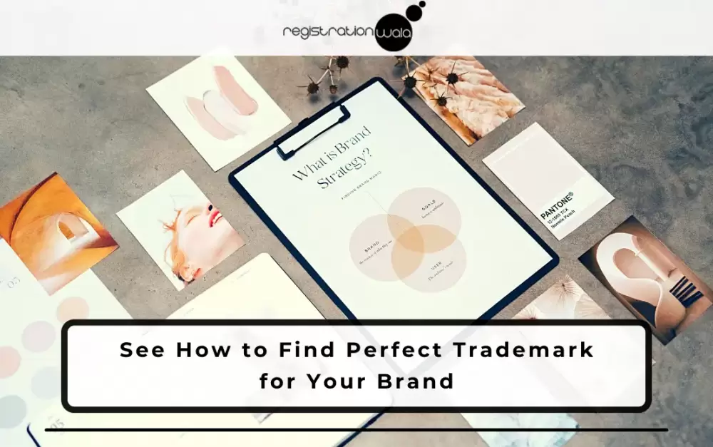 Step-by-Step Process to Find Perfect Trademark for Your Brand