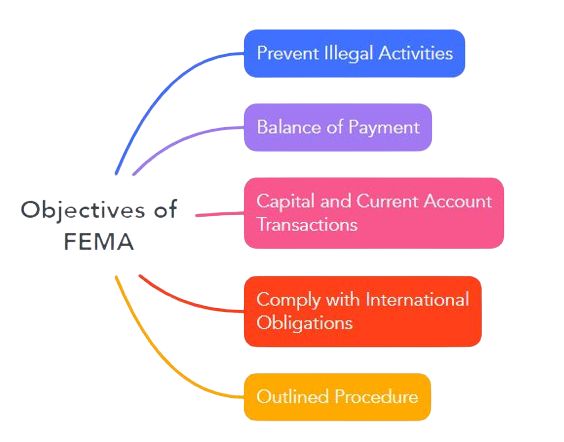 there are some objectives of fema act