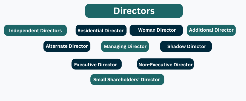 different types of directors in a company