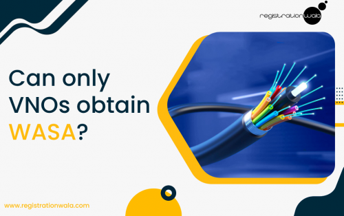 Can Only VNOs Obtain Wireline Access Service Authorisation?
