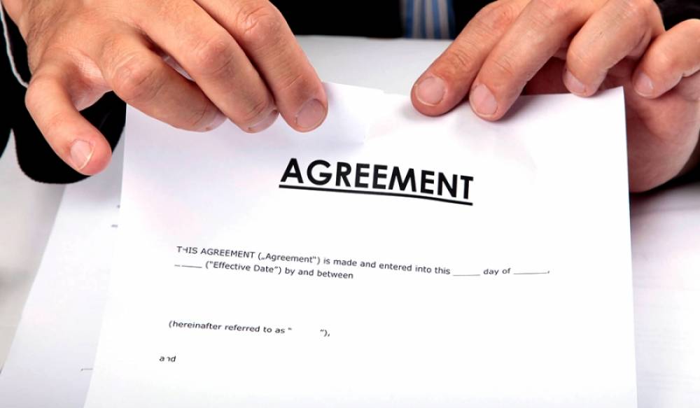 Shareholder's Agreement and its Significance