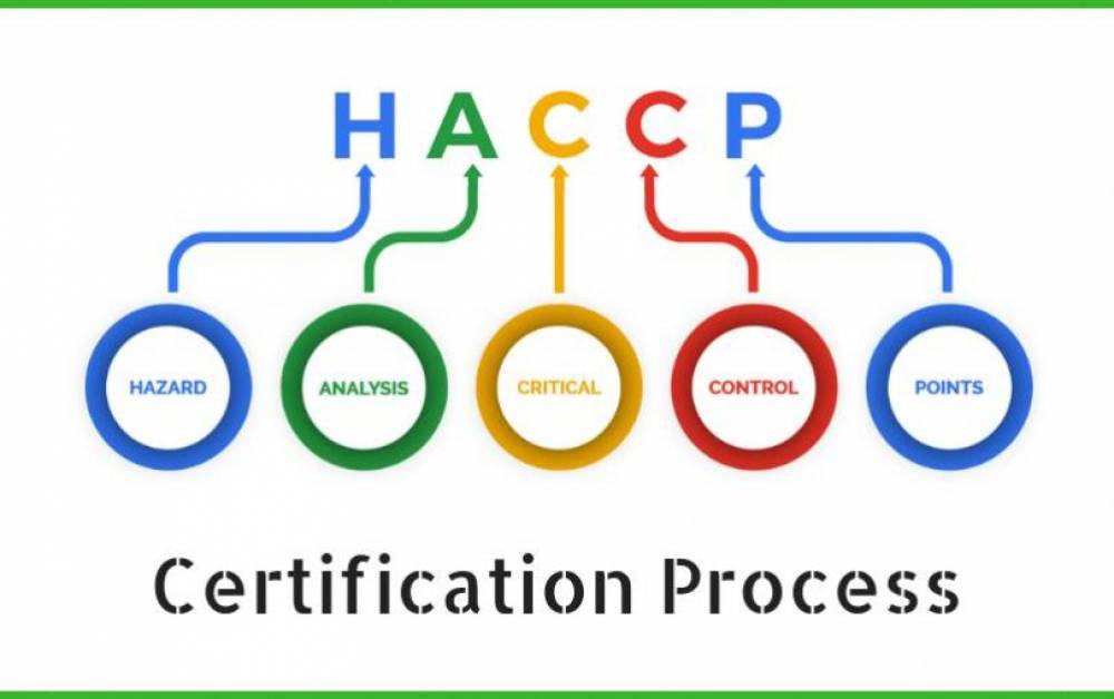 HACCP Certification Process in India