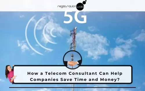 How a Telecom Consultant Can Help Companies Save Time and Money?