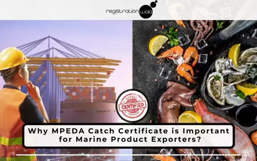 Why MPEDA Catch Certificate is Important for Marine Product Exporters?