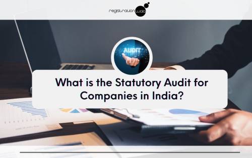 What is the Statutory Audit for Companies in India?
