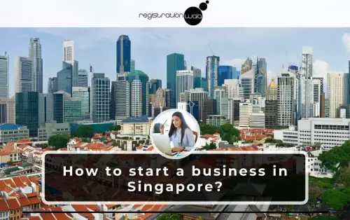 A Comprehensive Guide to Legal and Regulatory Requirements for singapore companies