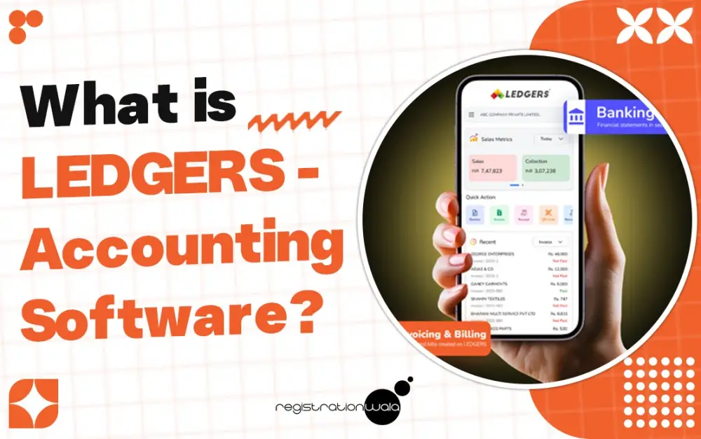 What is LEDGERS - Accounting  Software?