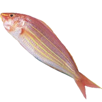image of surimi fish