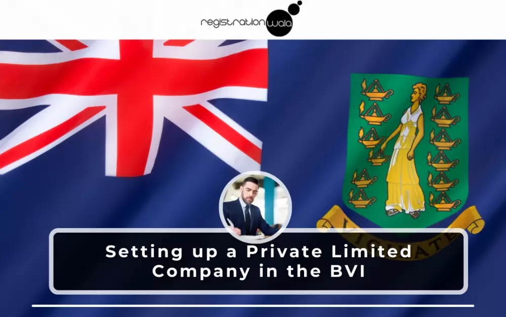 Setting up a Private Limited Company in the BVI: A Registration Guide for Entrepreneurs