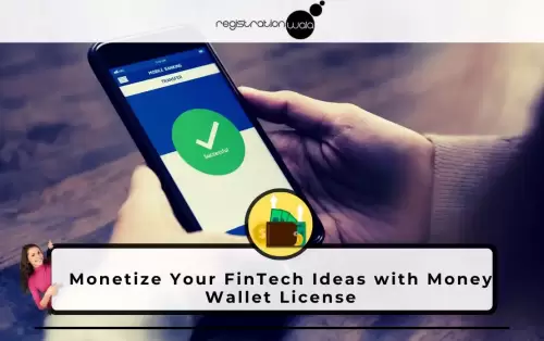 Monetize Your FinTech Ideas with Money Wallet License