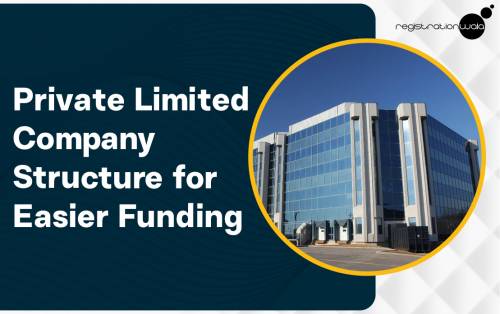 Does a Private Limited Company Structure Make Funding Easier for Businesses?