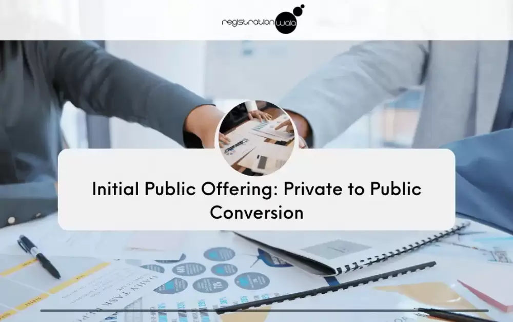 Transitioning from Private to Public: The Initial Public Offering Process