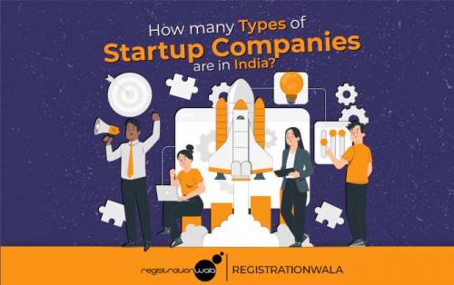 How Many Types of Startup Companies are in India?