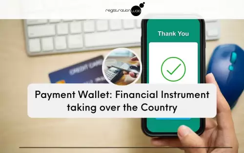 Payment Wallet: Financial Instrument taking over the Country
