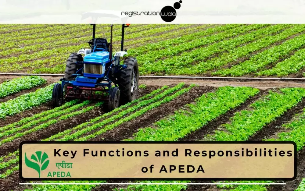 Key Functions and Responsibilities of APEDA