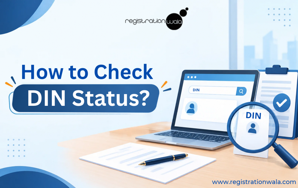 How to Check DIN Status?