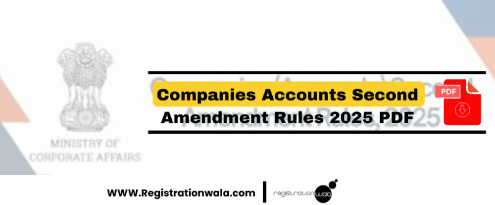 Companies Accounts Second Amendment Rules 2025 PDF