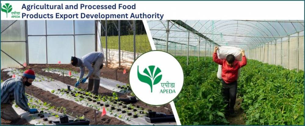 APEDA extends deadline for 100% physical verification of organic farmers till July 3
